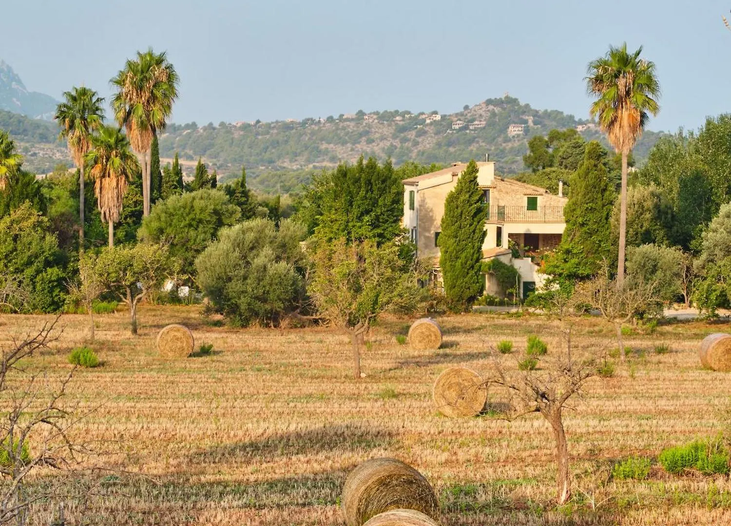 Sa Sinia Finca En El Corazon De La Tramuntana Valldemossa