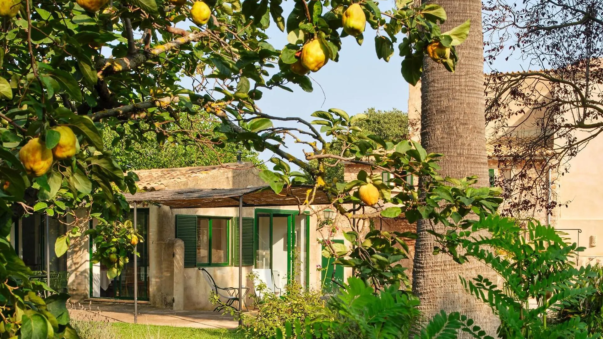 Vila Sa Sinia Finca En El Corazon De La Tramuntana Valldemossa